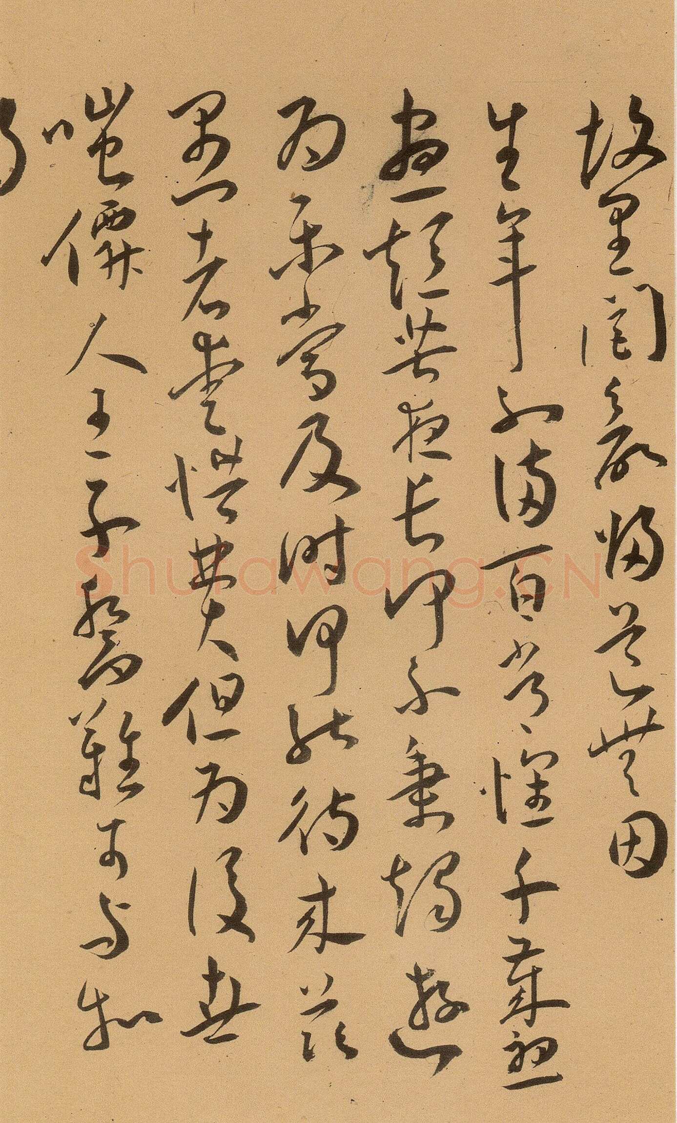 王宠《草书古诗十九首卷》纸本 草书 29.3×380.1cm 上海博物馆藏