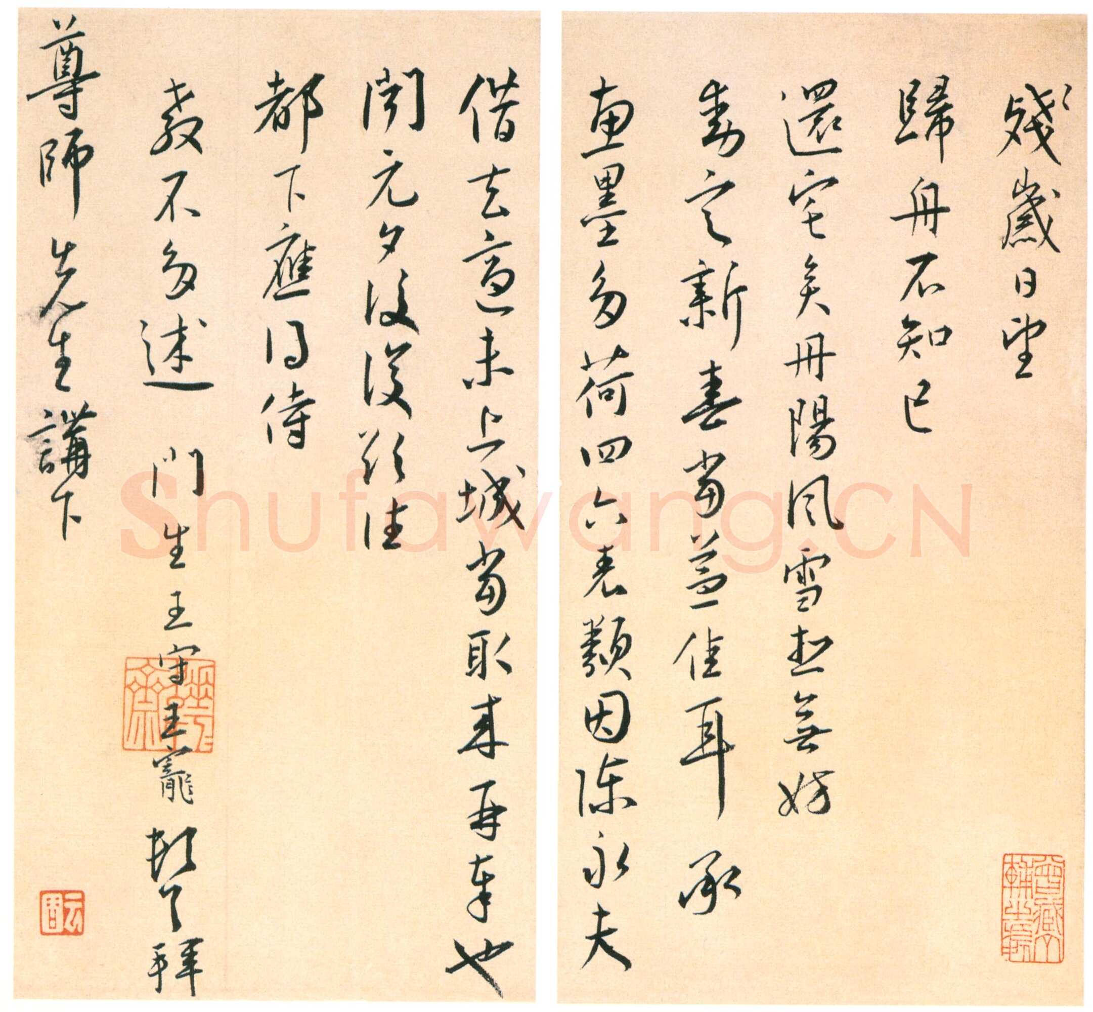 王宠《致尊师书札》页 纸本 行草书 22.7×12.2 cm×2 浙江省博物馆藏