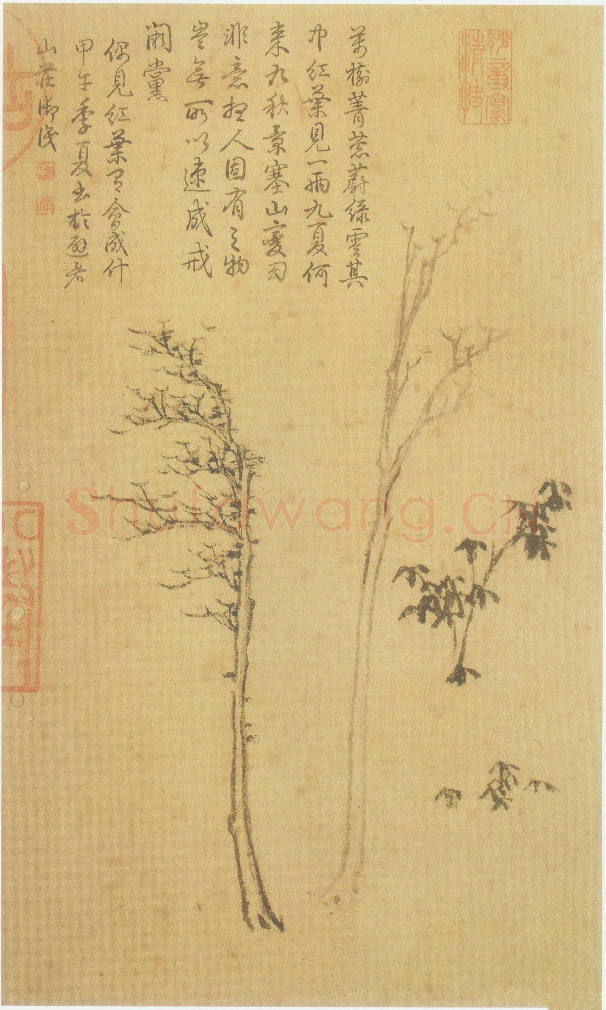 倪瓒云林画谱册