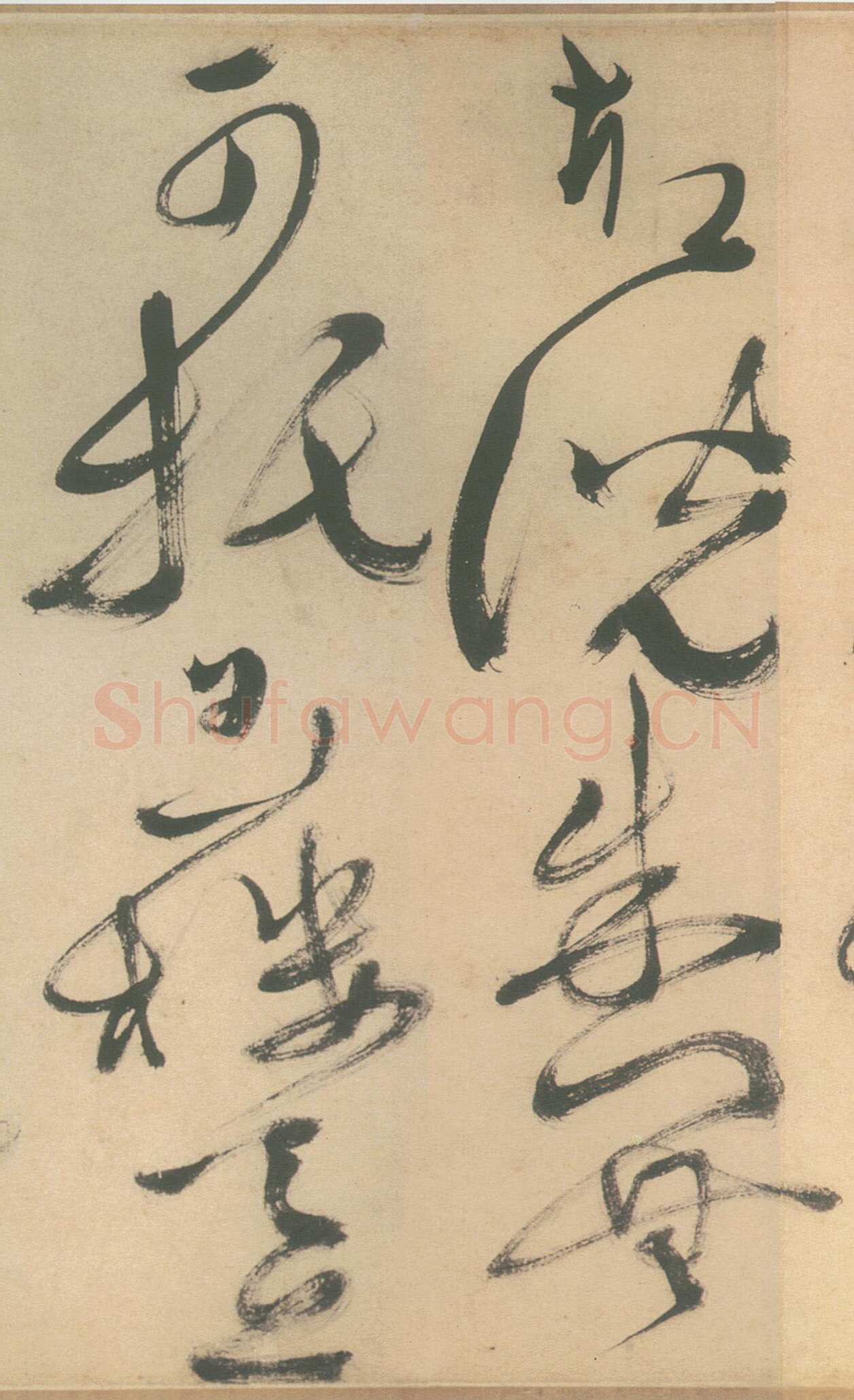徐渭《草书白燕诗卷》纵30厘米，横420.5厘米。绍兴市文物考古研究所藏