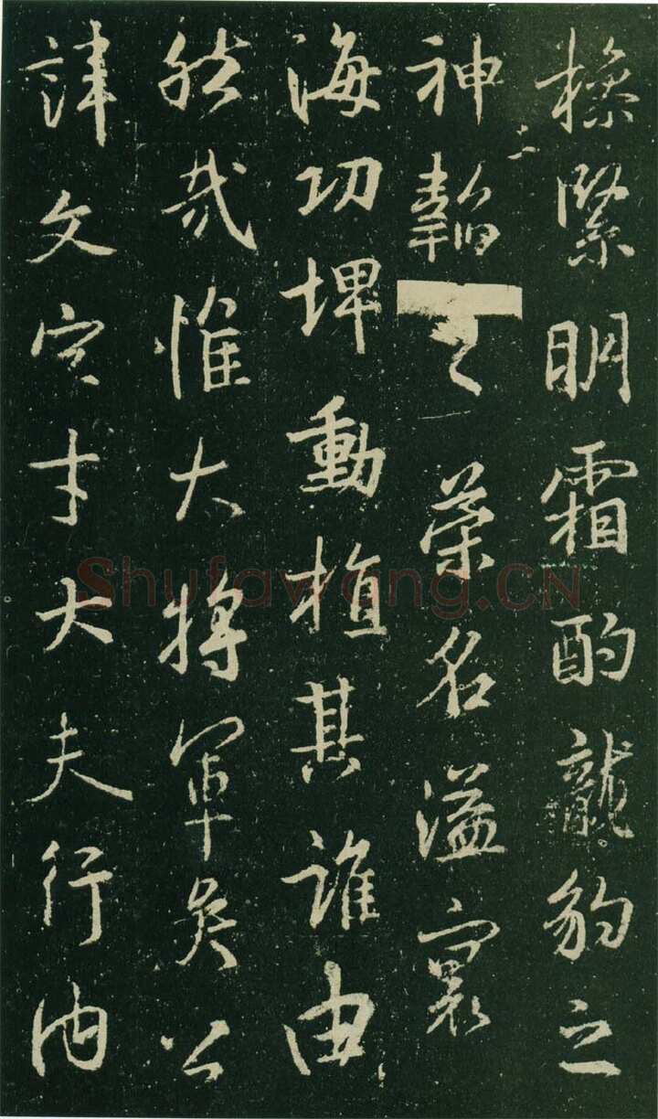 大雅《兴福寺半截碑》此碑又名《吴文碑》,摘自唐朝兴福寺半截碑
