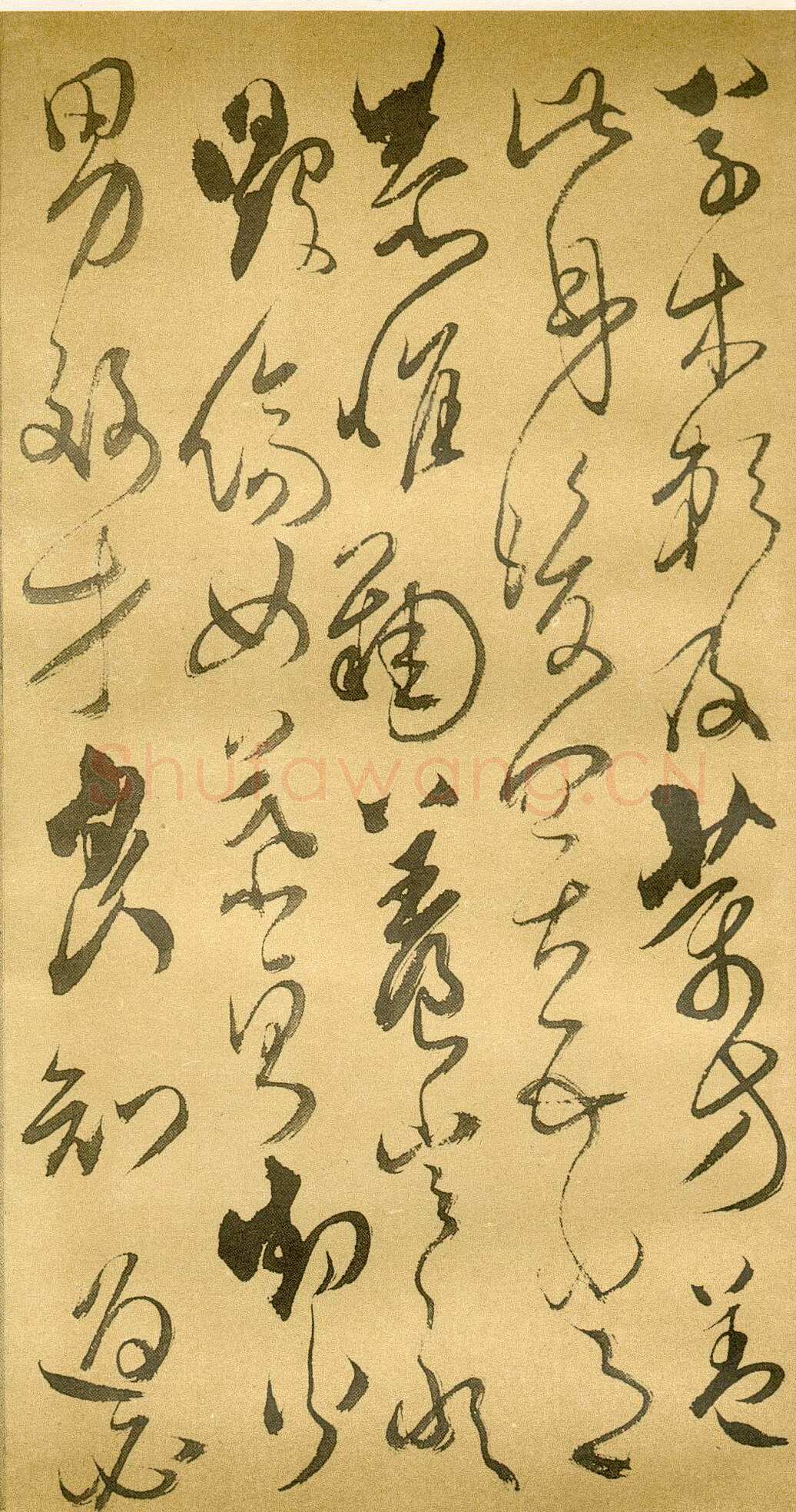 傅山《草书千字文》册 共12页 纸本 24.5×13cm 山西省博物院藏