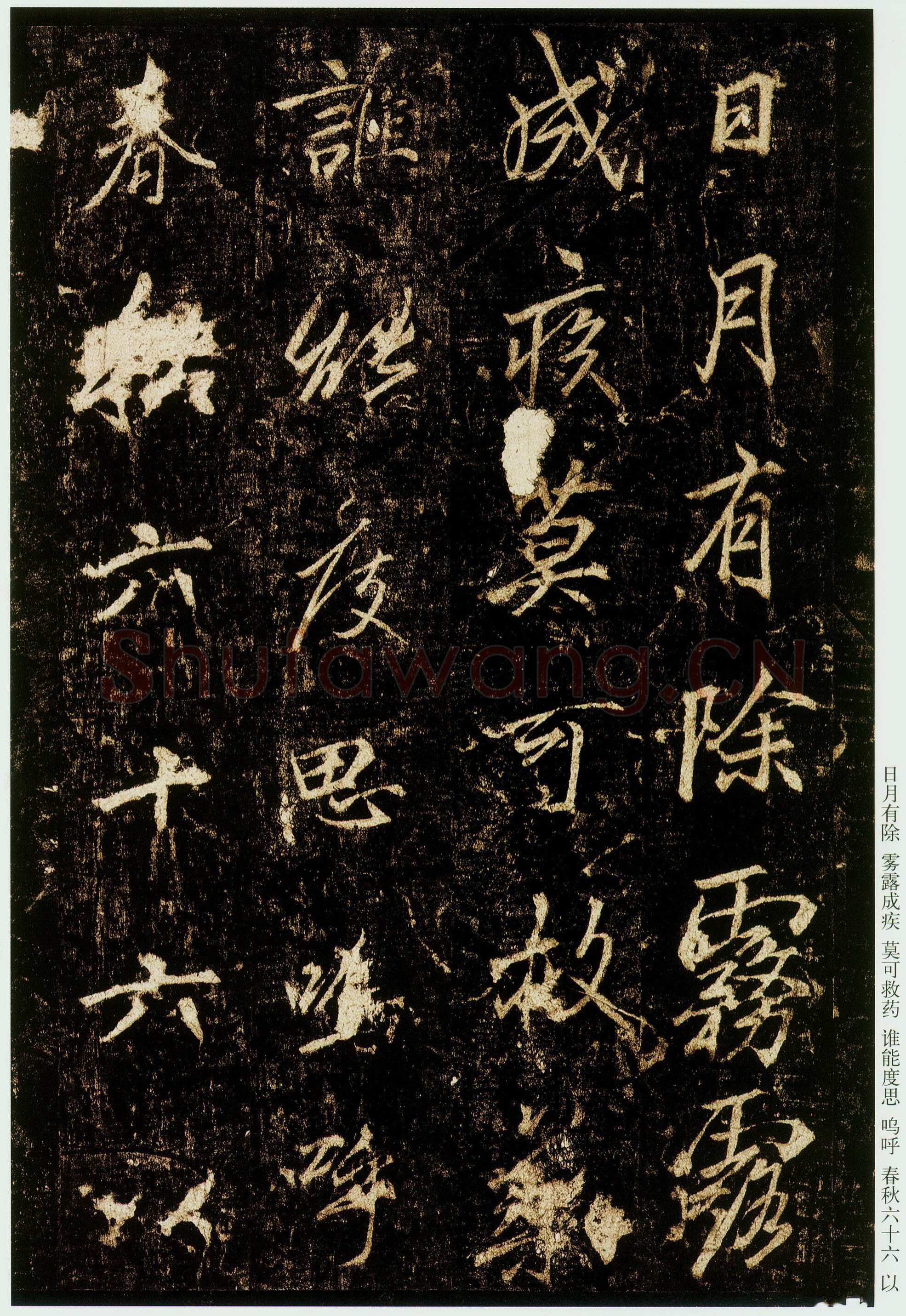 李邕《云麾将军碑》