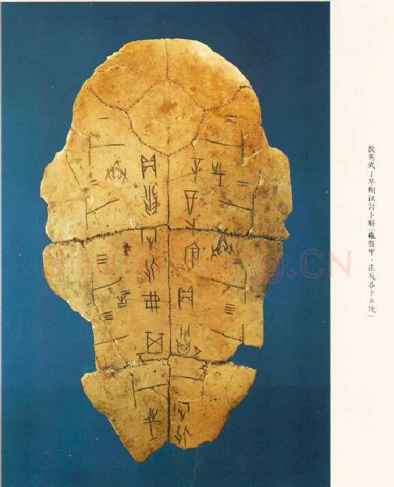 传世甲骨文图片18甲骨文写法,摘自甲骨文图片