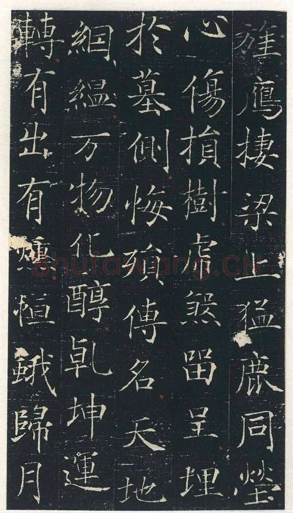 马府君夫人墓志铭