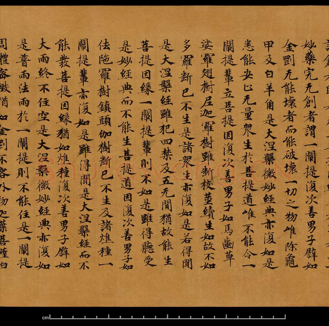 敦煌书法敦煌书法大般涅槃经,摘自东晋至北宋大般涅槃经8