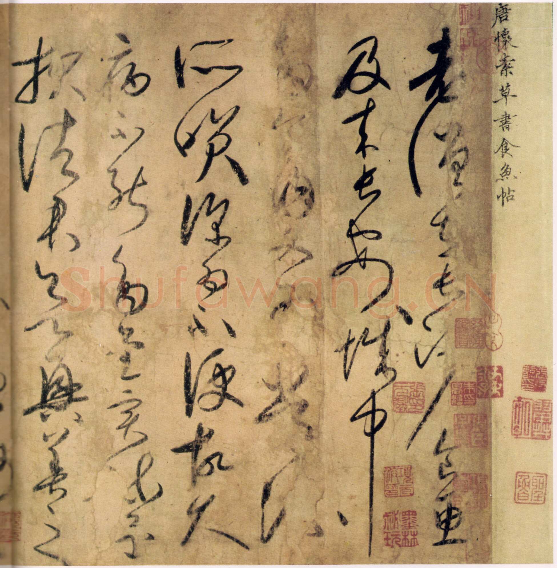 怀素《食鱼帖》(古摹本)水墨白麻纸本手卷 原藏于青岛市博物馆