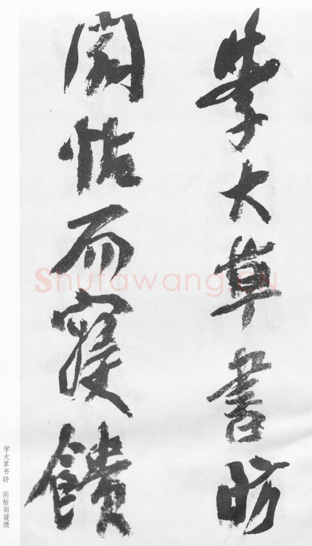 蒲华《跋张旭率意帖》