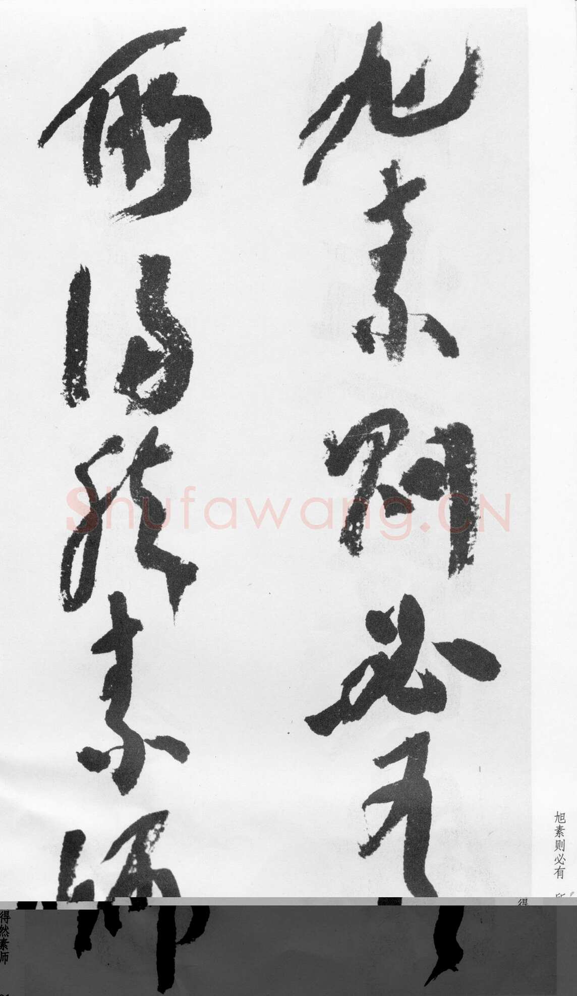 蒲华《跋张旭率意帖》