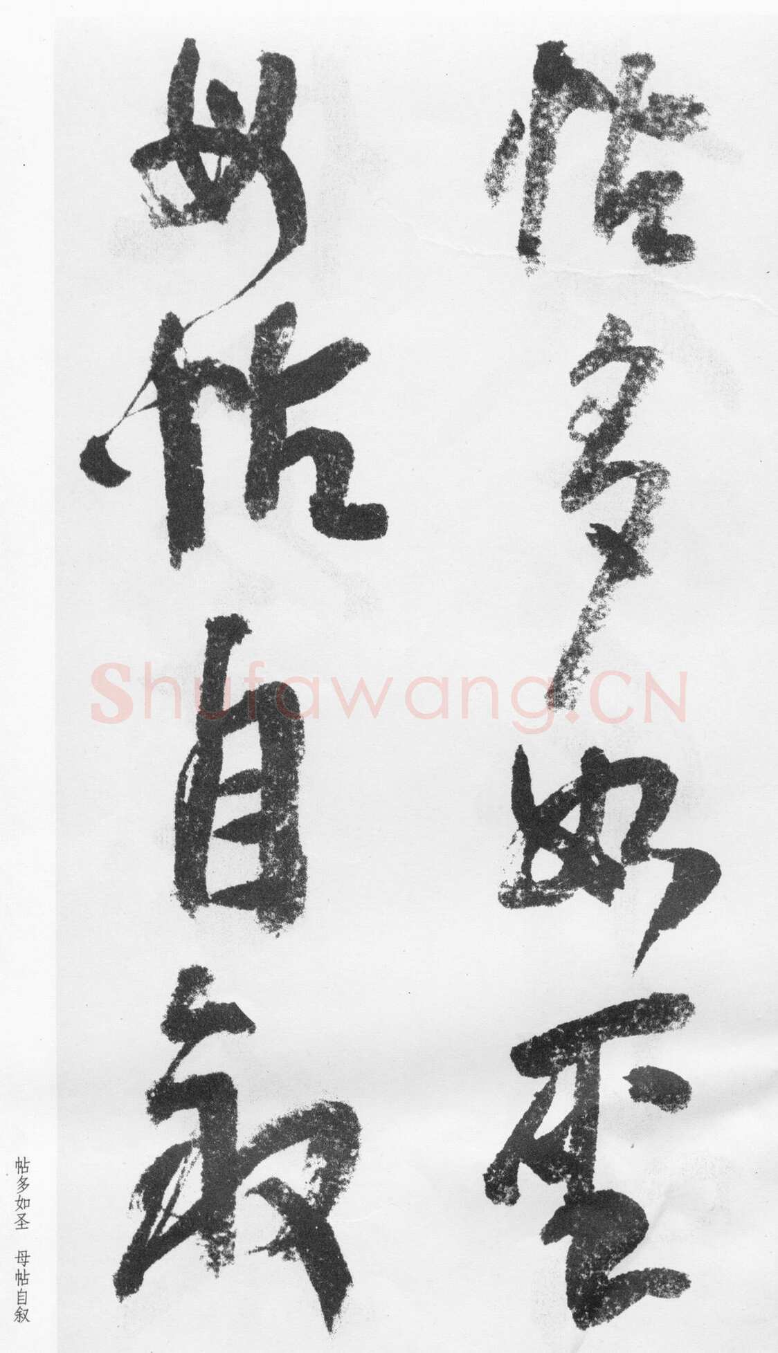 蒲华《跋张旭率意帖》