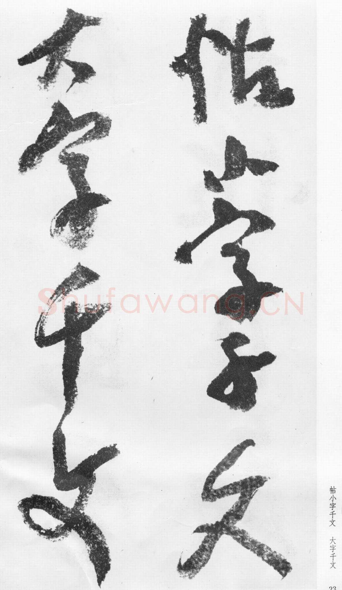 蒲华《跋张旭率意帖》