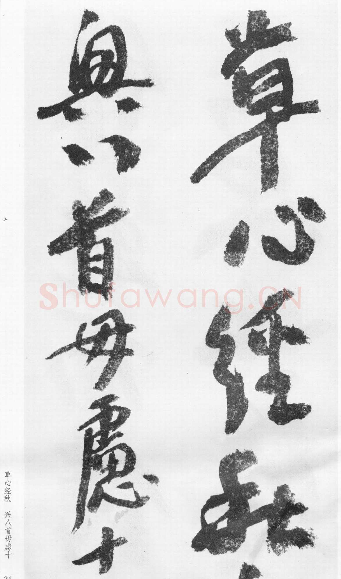 蒲华《跋张旭率意帖》