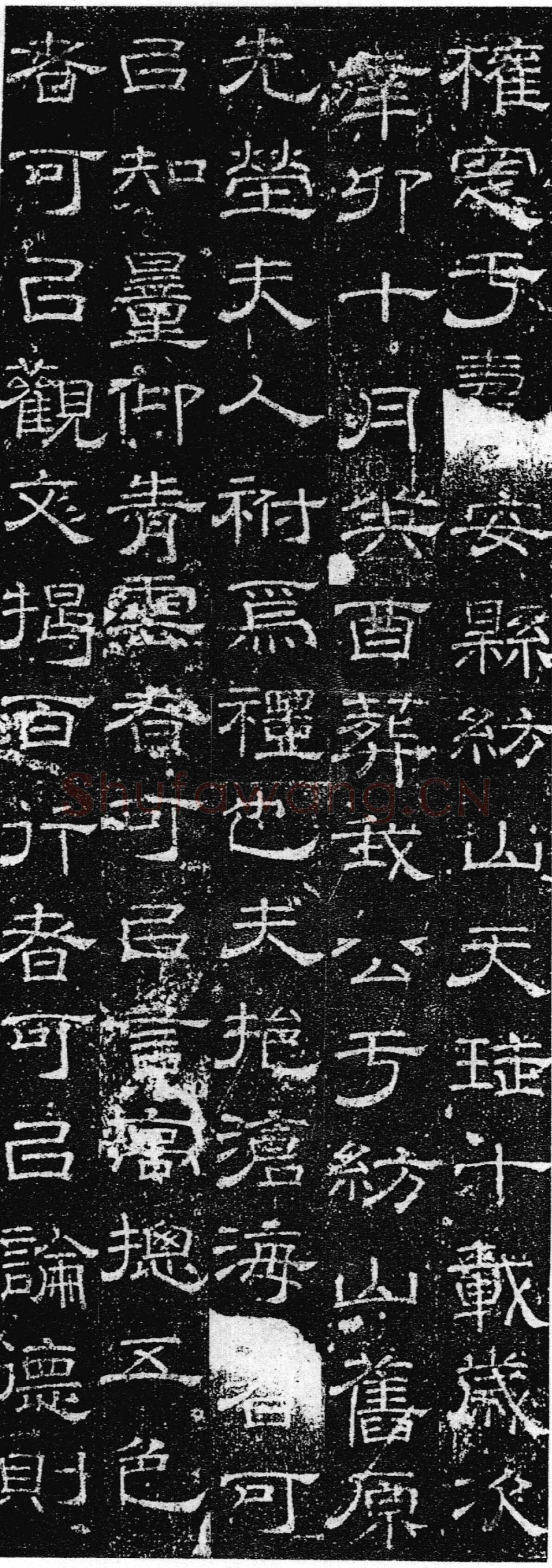 徐浩《张庭珪墓志》隶书