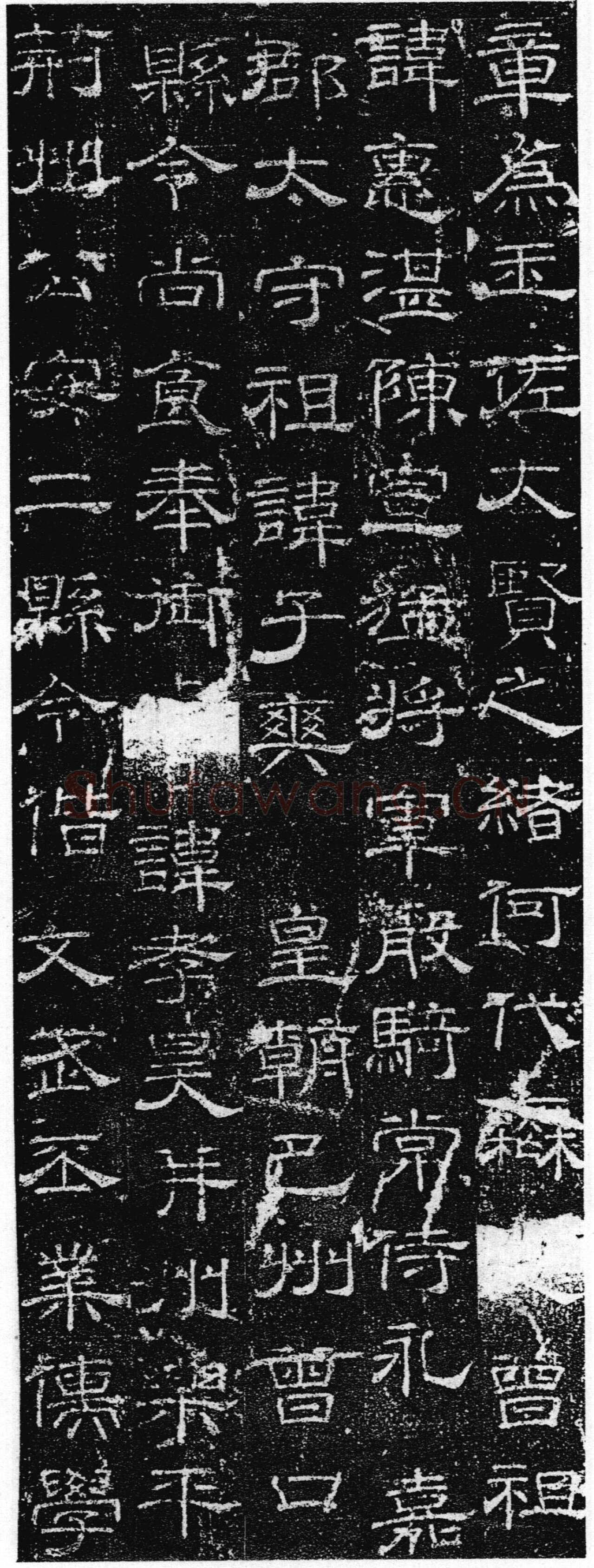徐浩《张庭珪墓志》隶书
