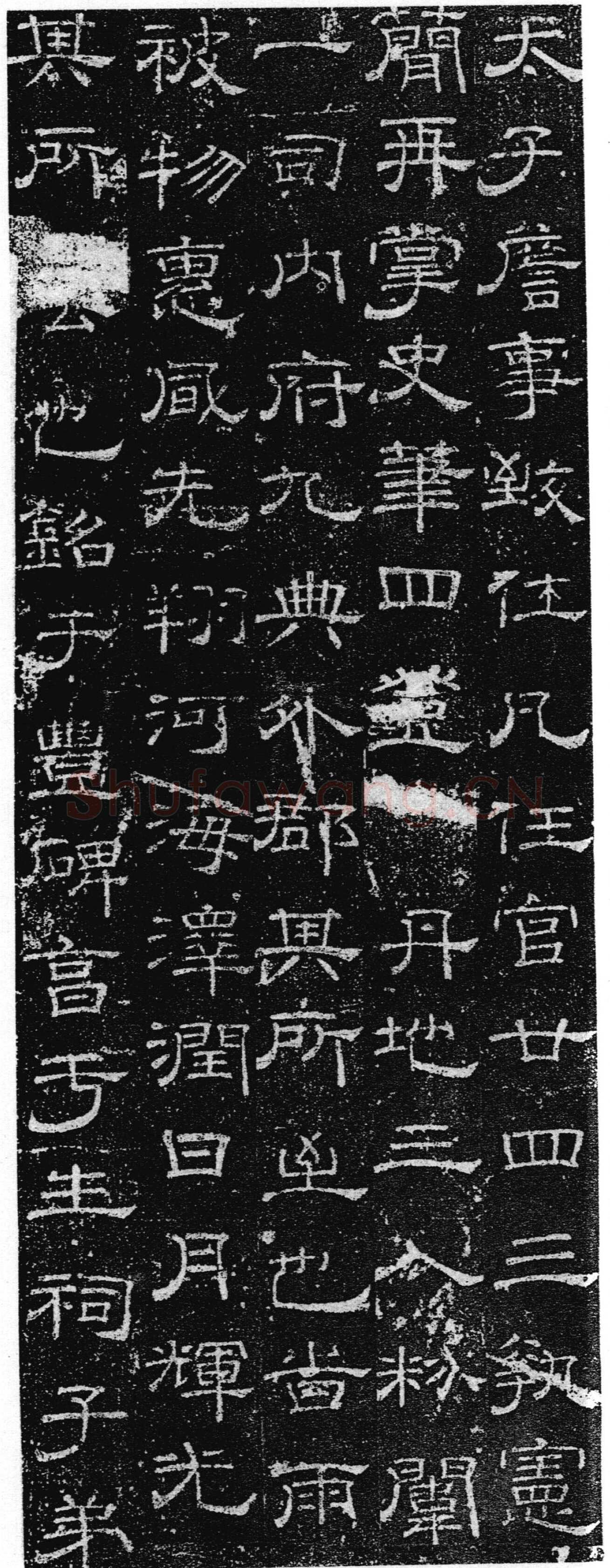 徐浩《张庭珪墓志》隶书
