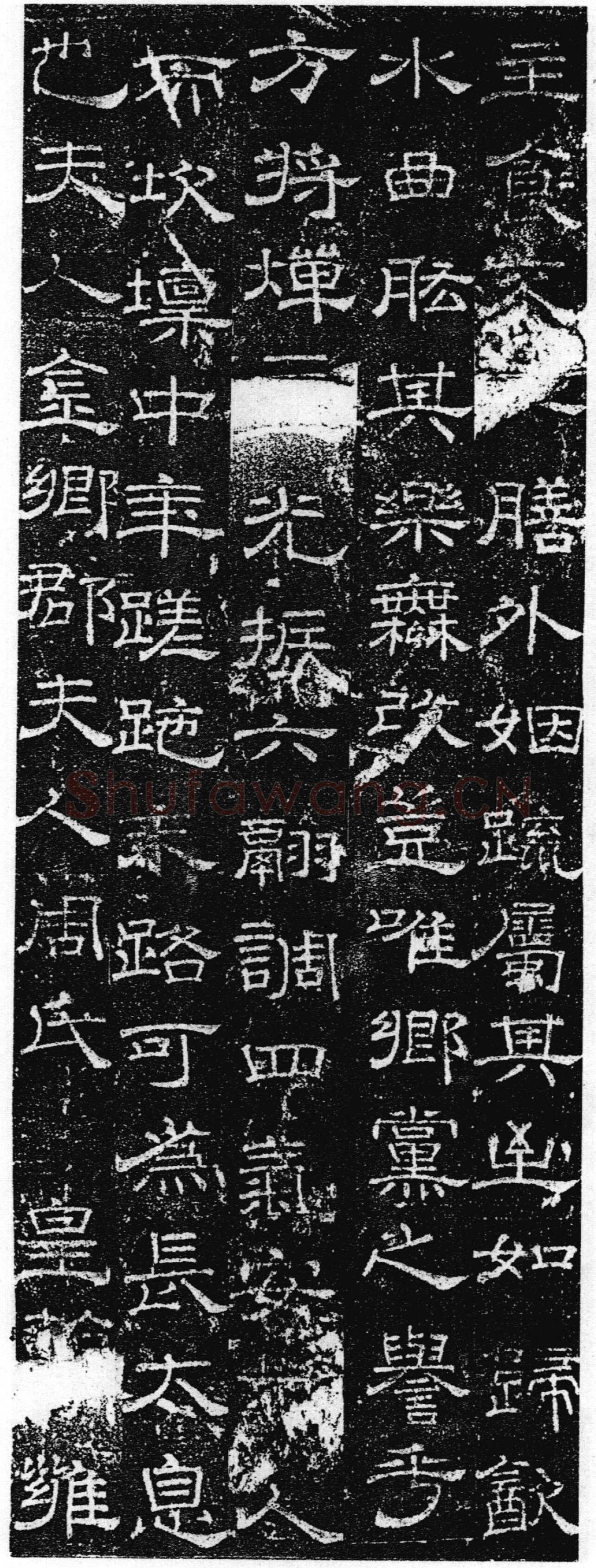 徐浩《张庭珪墓志》隶书