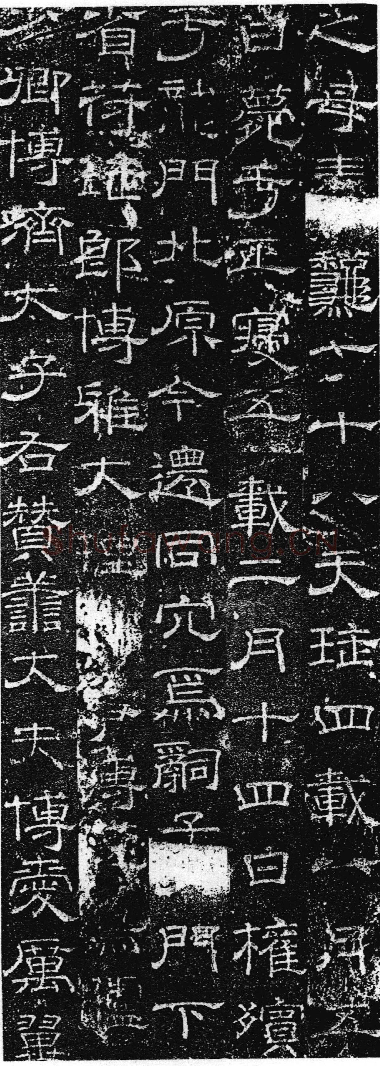 徐浩《张庭珪墓志》隶书