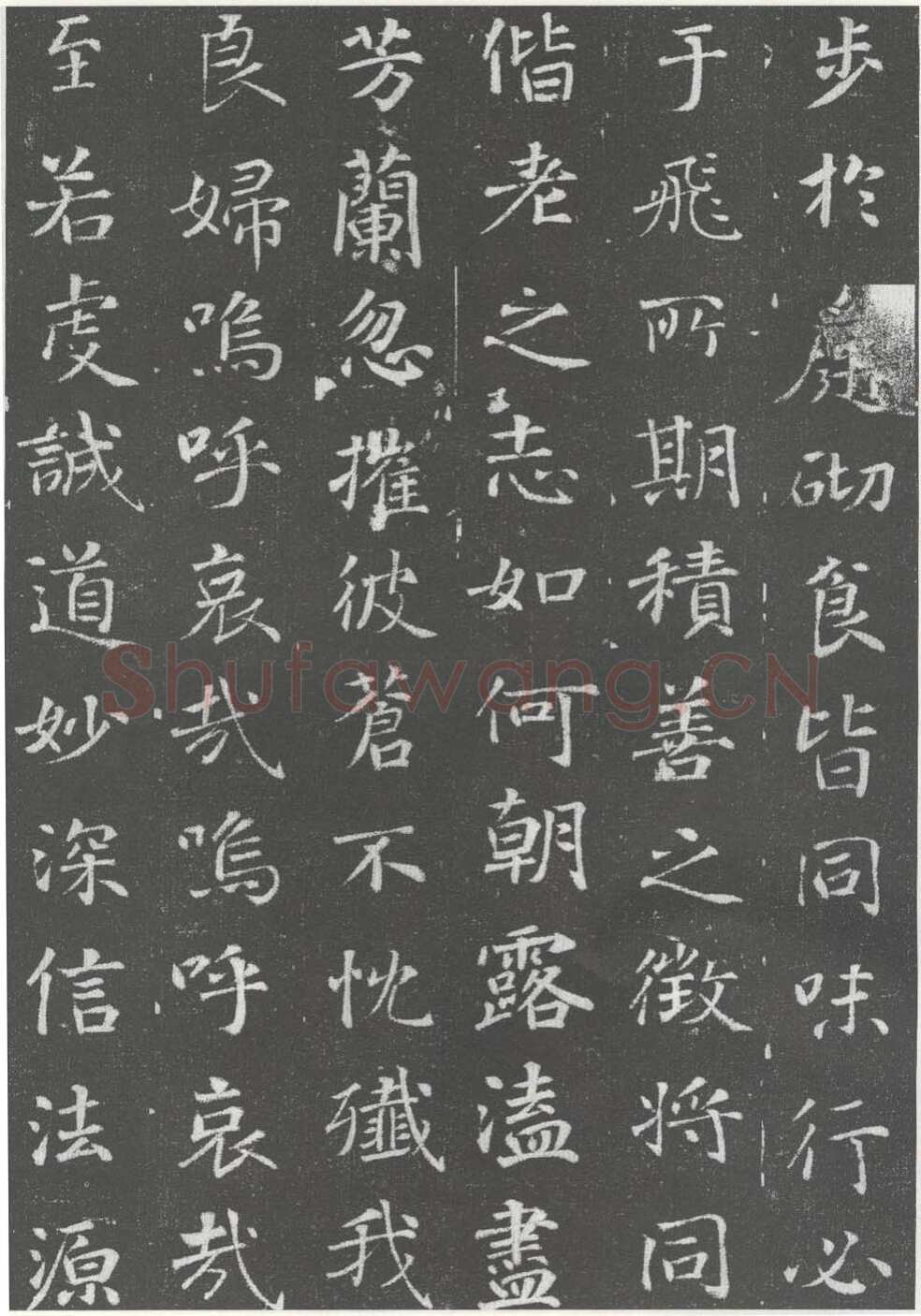 徐浩《李岘妻独孤峻墓志》