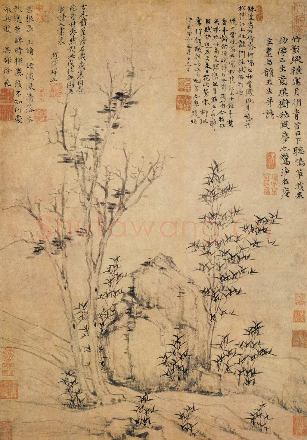>倪瓒《琪树秋风图》