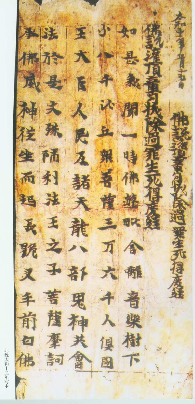 北魏东阳王元荣时期写经北魏经卷,摘自北魏北魏东阳王元荣时期写经