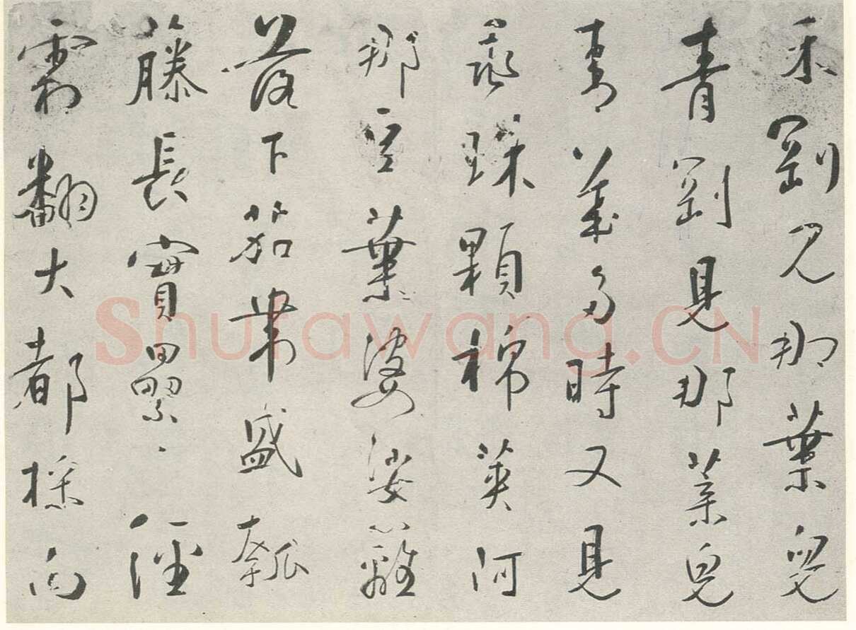 苏珥《行书农家乐、草书录药言句轴、草书录屠隆娑罗馆清言句轴》