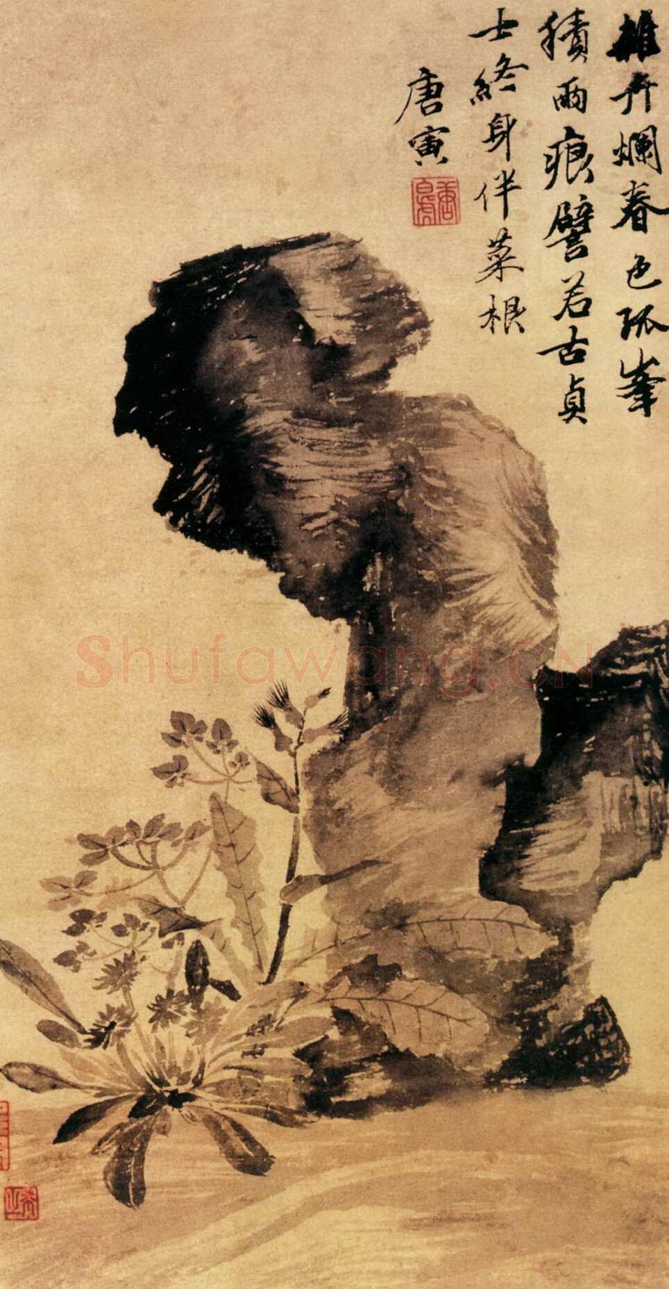 唐寅《立石丛卉图》立轴纸本水墨 纵52．6厘米 横28．6厘米 台北故宫博物院藏