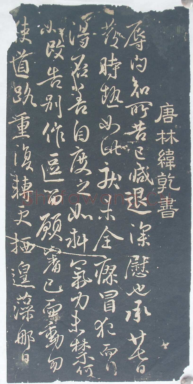 林藻《深慰帖》翻刻版原拓
