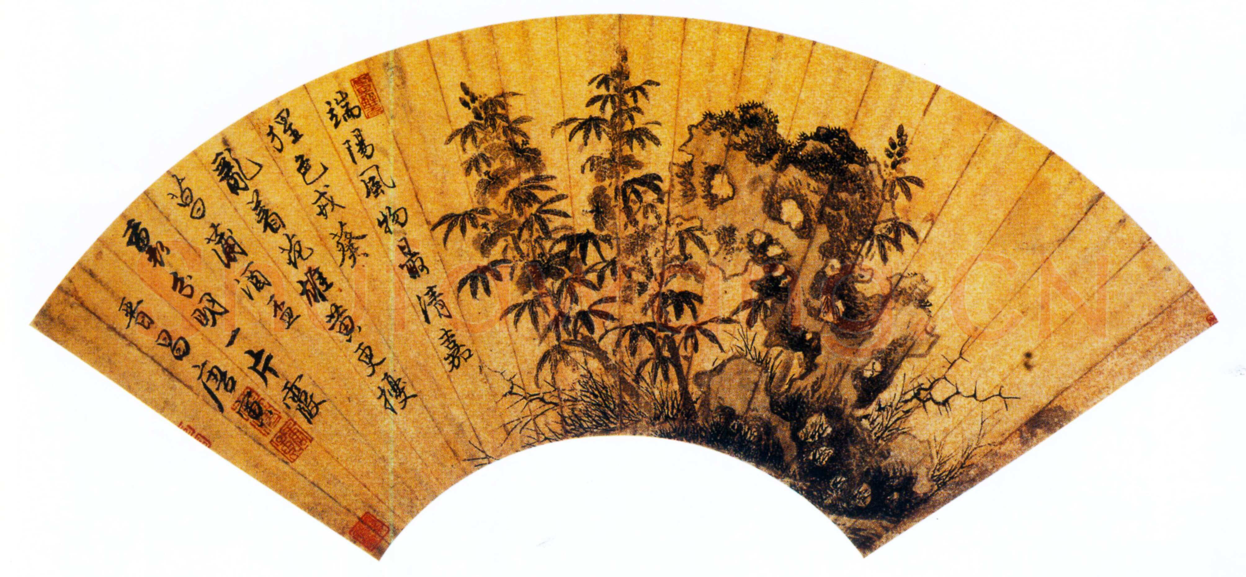 唐寅《蜀葵图扇面》金笺 16.3×45.8cm 上海博物馆藏