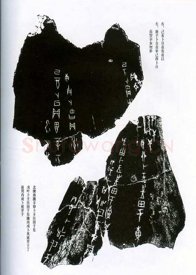 甲骨文拓片精选8甲骨文写法,摘自甲骨文拓片及其释文