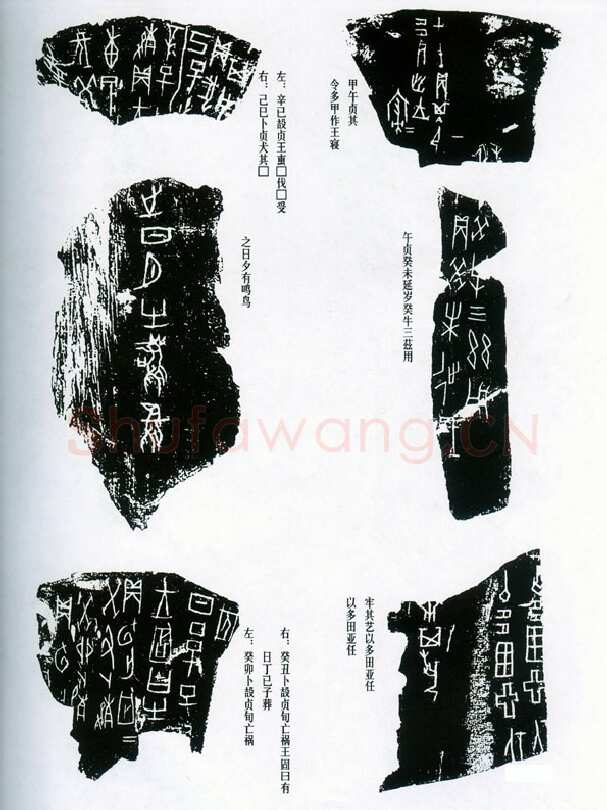 甲骨文拓片精选15甲骨文写法,摘自甲骨文拓片及其释文