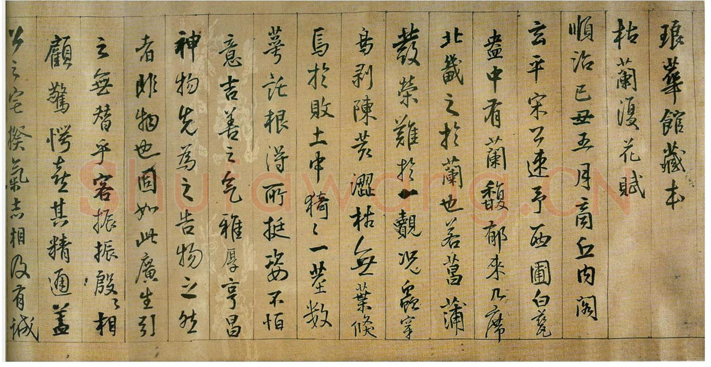 王铎《枯兰复花图卷》清顺治七年(己丑1649年)全卷32.6X1035.5cm 苏州博物馆藏