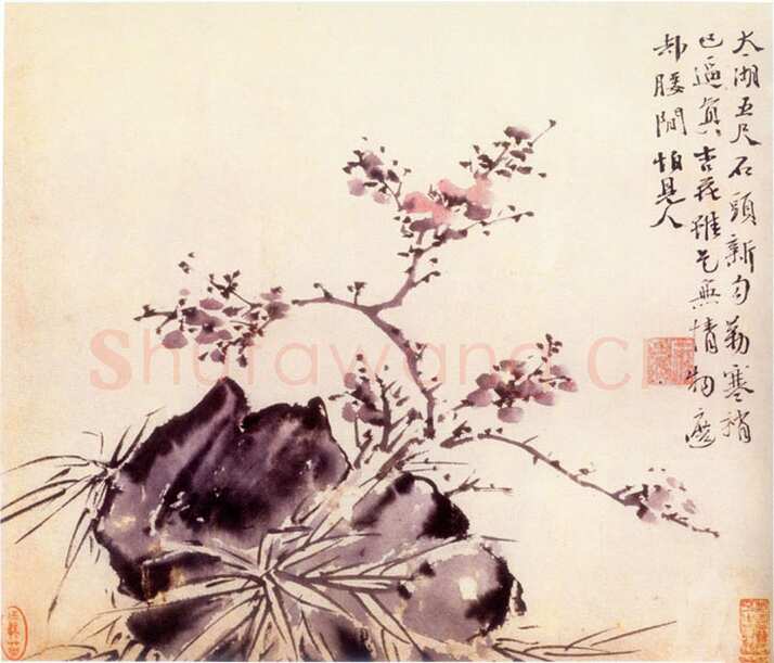 徐渭《墨笔花卉册 选一》