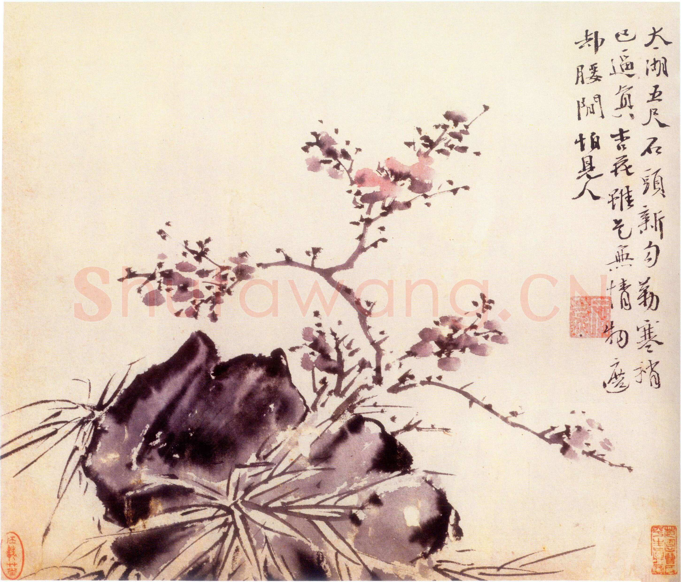 徐渭《墨笔花卉册 选一》