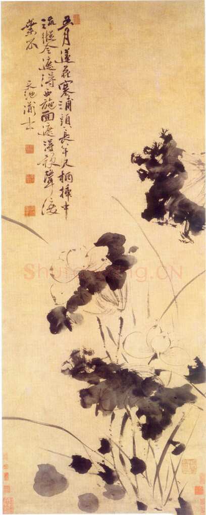 徐渭《五月莲花图》