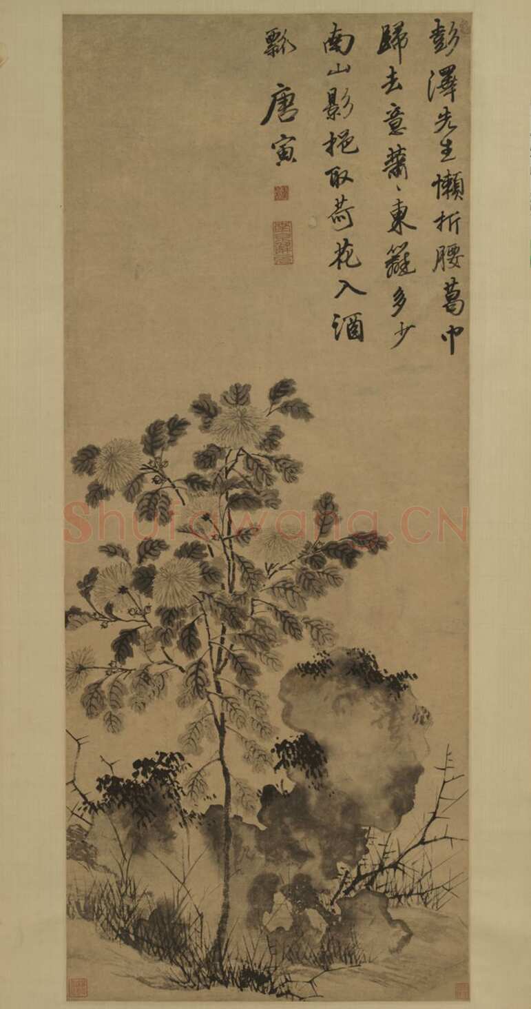 唐寅《秋菊图》轴 纸本水墨，135×55.5cm 天津博物馆藏
