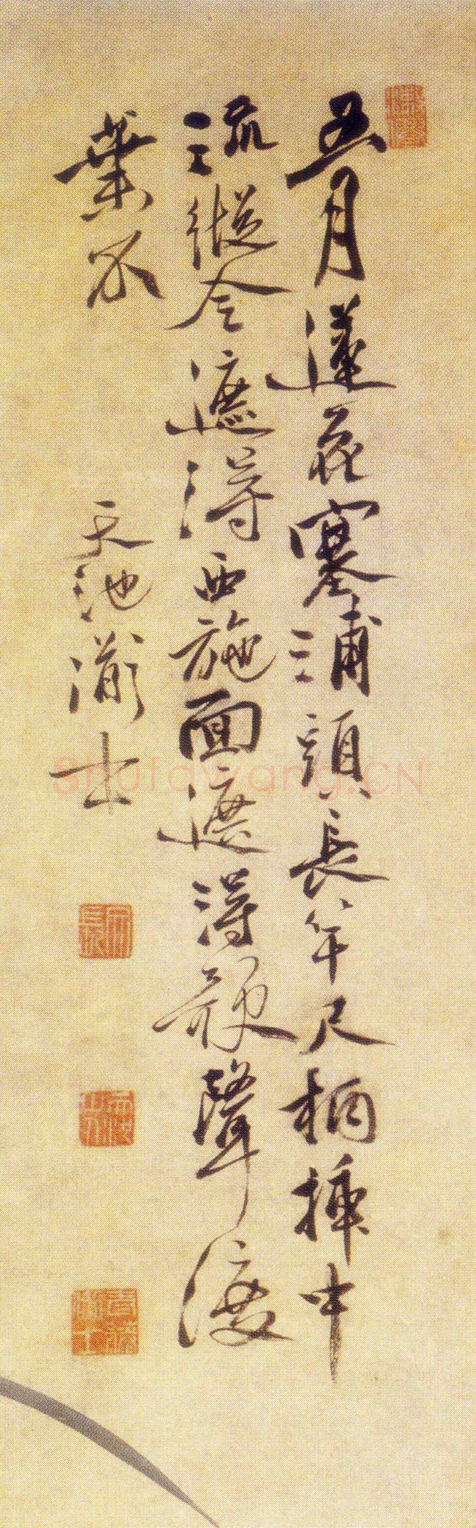 徐渭《五月莲花图》