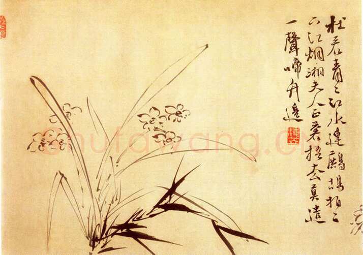 徐渭《水仙、菊石、兰花、墨竹、牡丹》