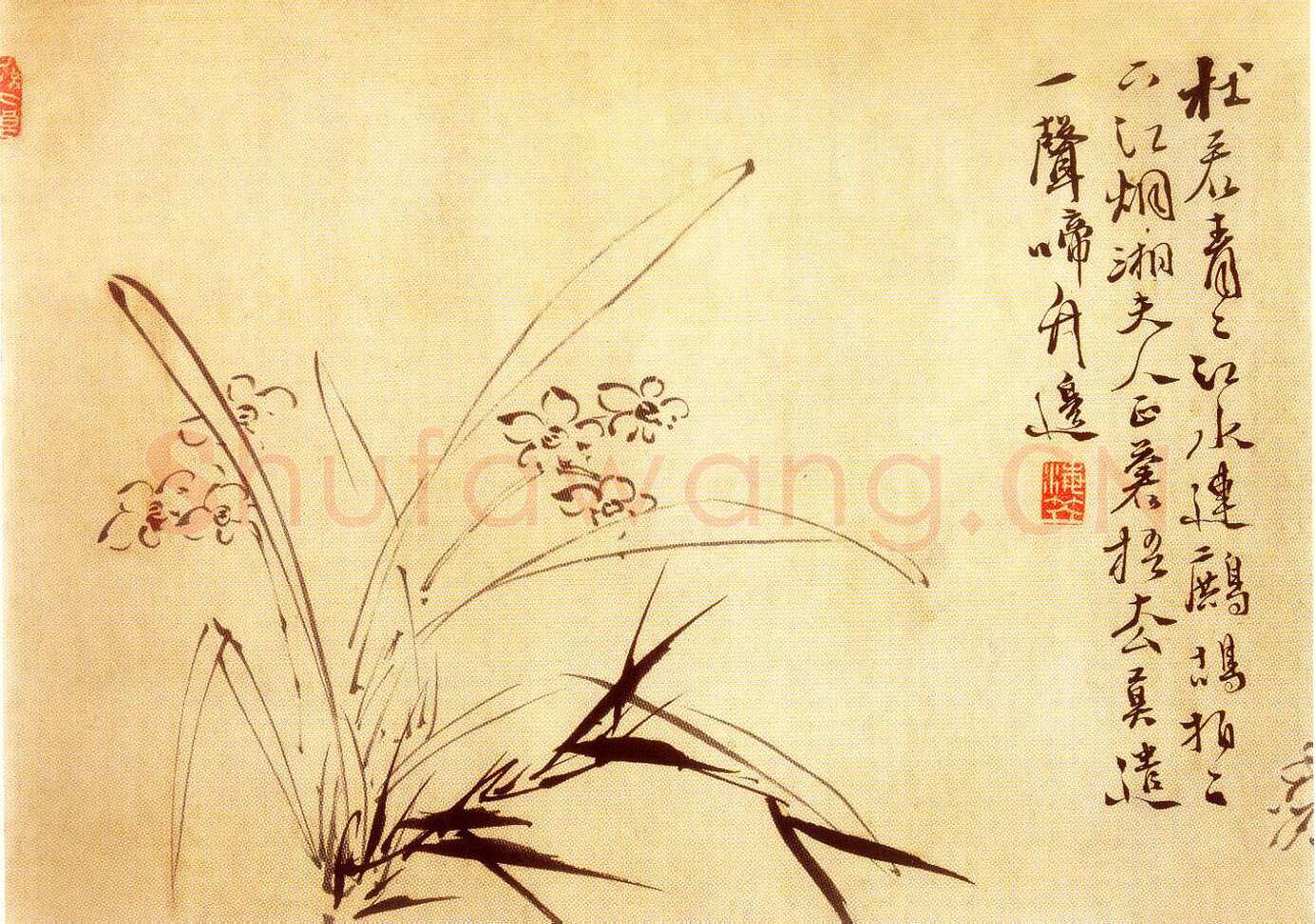 徐渭《水仙、菊石、兰花、墨竹、牡丹》