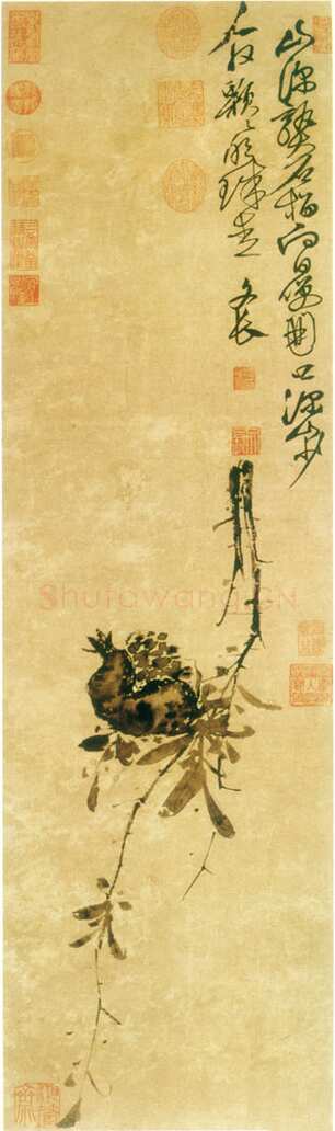 徐渭《榴实图》