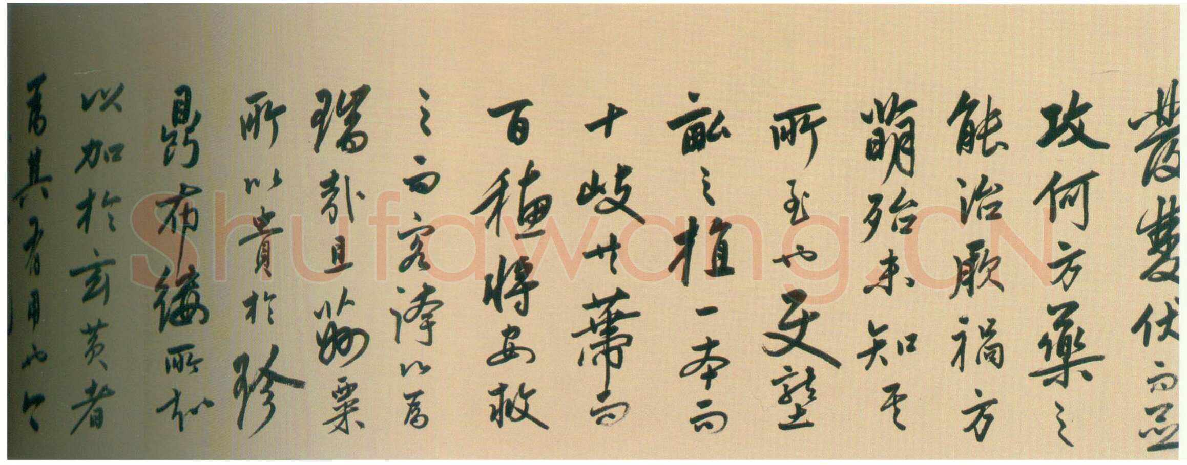 陆深《瑞麦赋卷》纸本行书 32.9×1056cm 北京故宫博物院藏