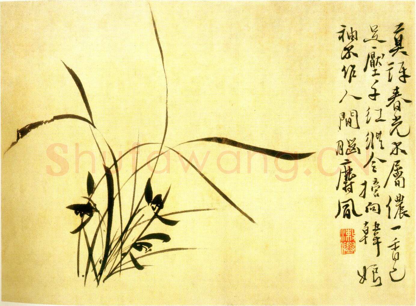 徐渭《水仙、菊石、兰花、墨竹、牡丹》
