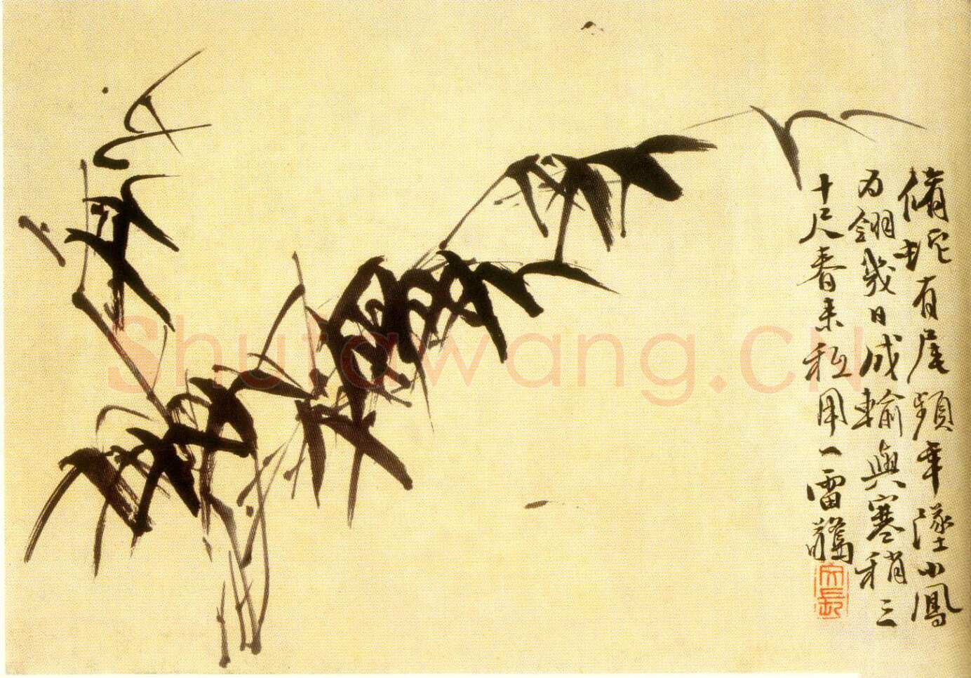 徐渭《水仙、菊石、兰花、墨竹、牡丹》