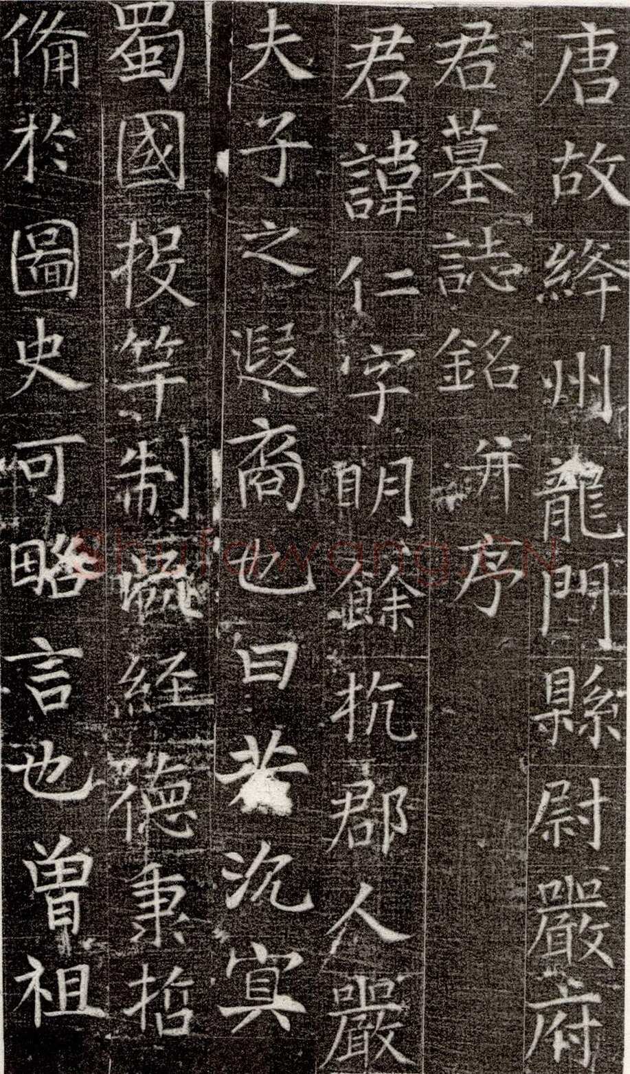 张旭《严仁墓志》