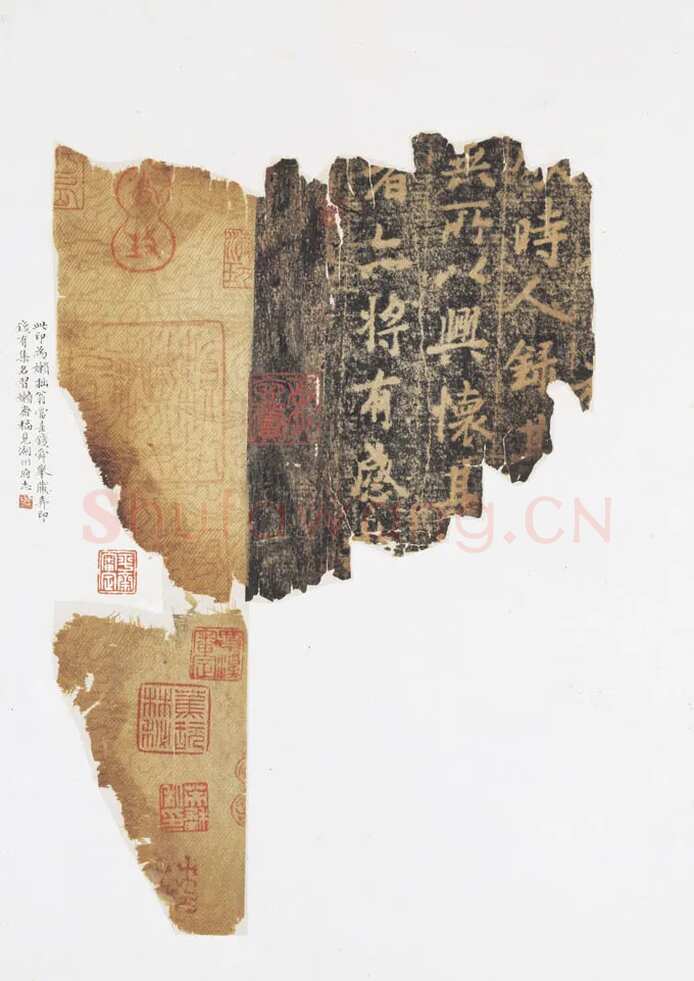 赵孟頫《跋定武兰亭》独孤本残本(选页)日本东京国立博物馆藏