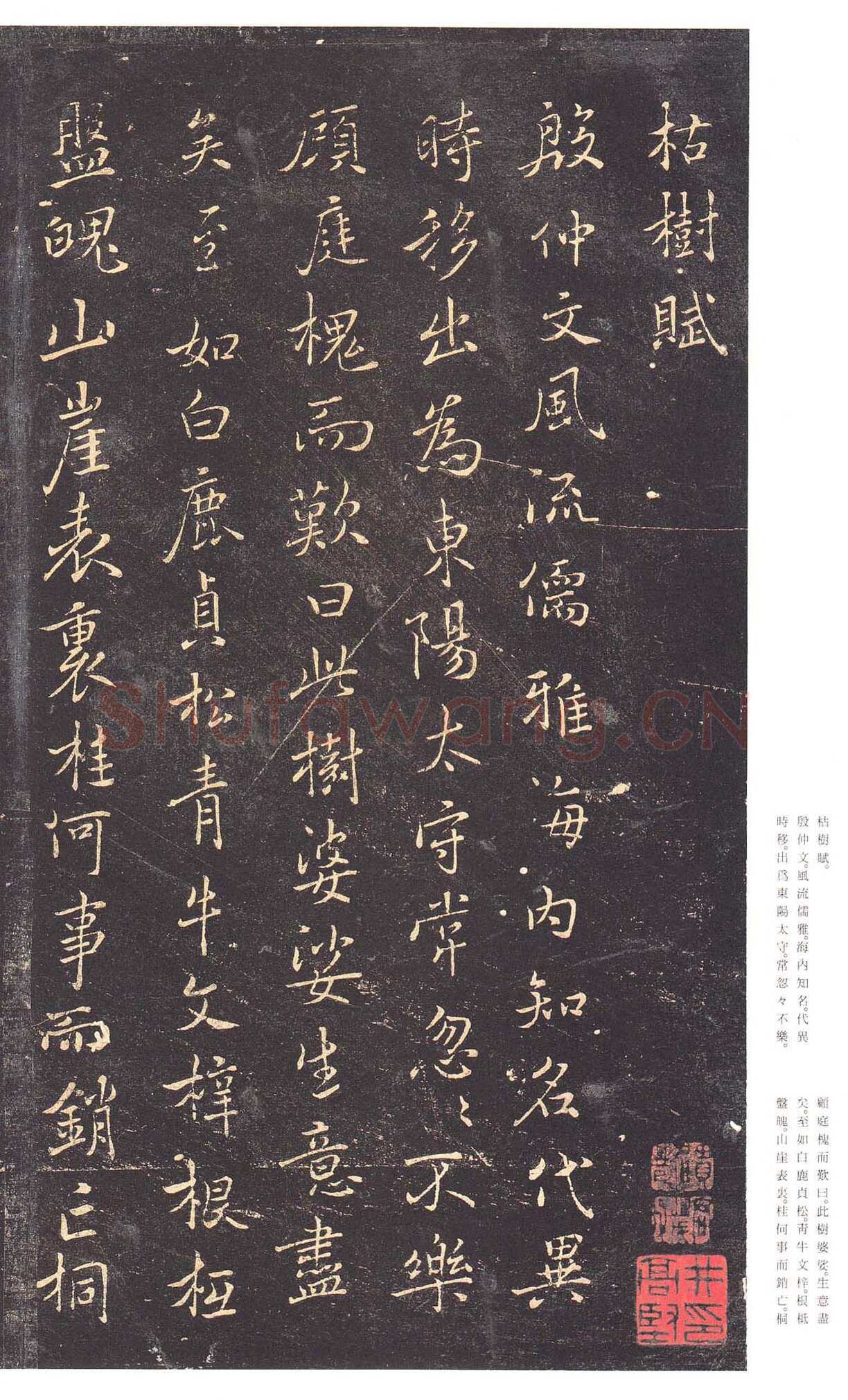 褚遂良《枯树赋》明拓本 行书 26.2×15.1cm 贞观四年(630) 日本三井纪念美术馆藏