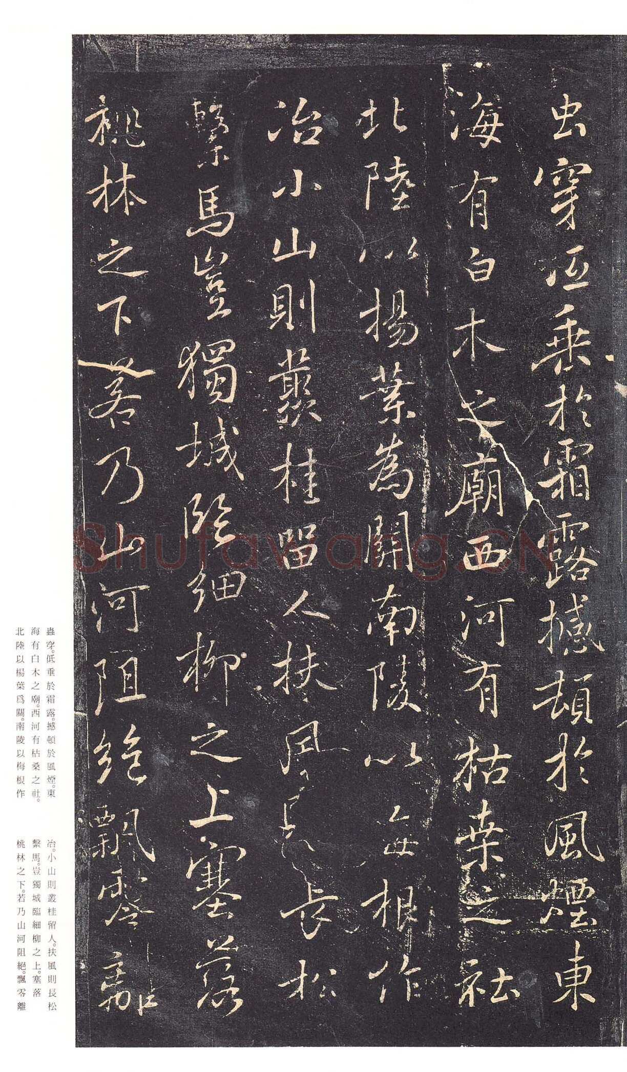 褚遂良《枯树赋》明拓本 行书 26.2×15.1cm 贞观四年(630) 日本三井纪念美术馆藏