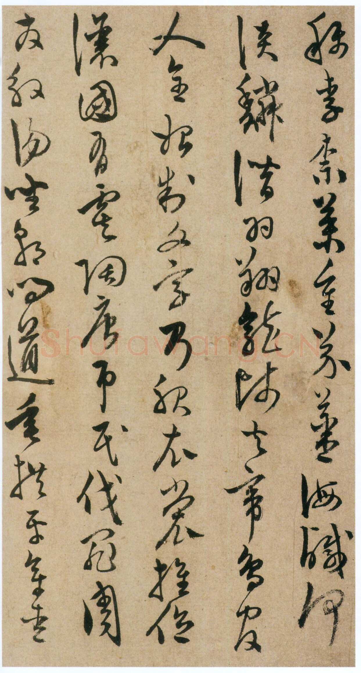 陈淳《草书千字文册》纸本 草书 32×16.5cm×17页 嘉靖十七年(1538)香港中文大学文物馆藏(北山堂捐赠)