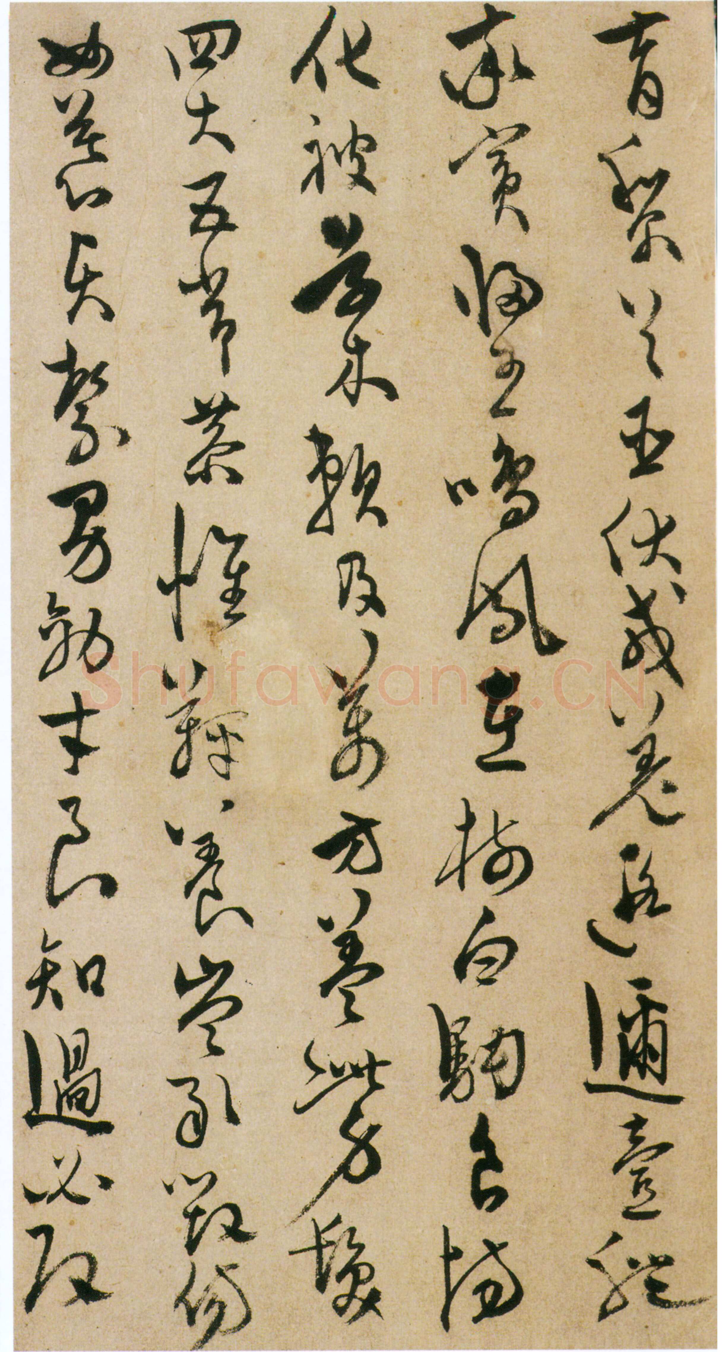 陈淳《草书千字文册》纸本 草书 32×16.5cm×17页 嘉靖十七年(1538)香港中文大学文物馆藏(北山堂捐赠)
