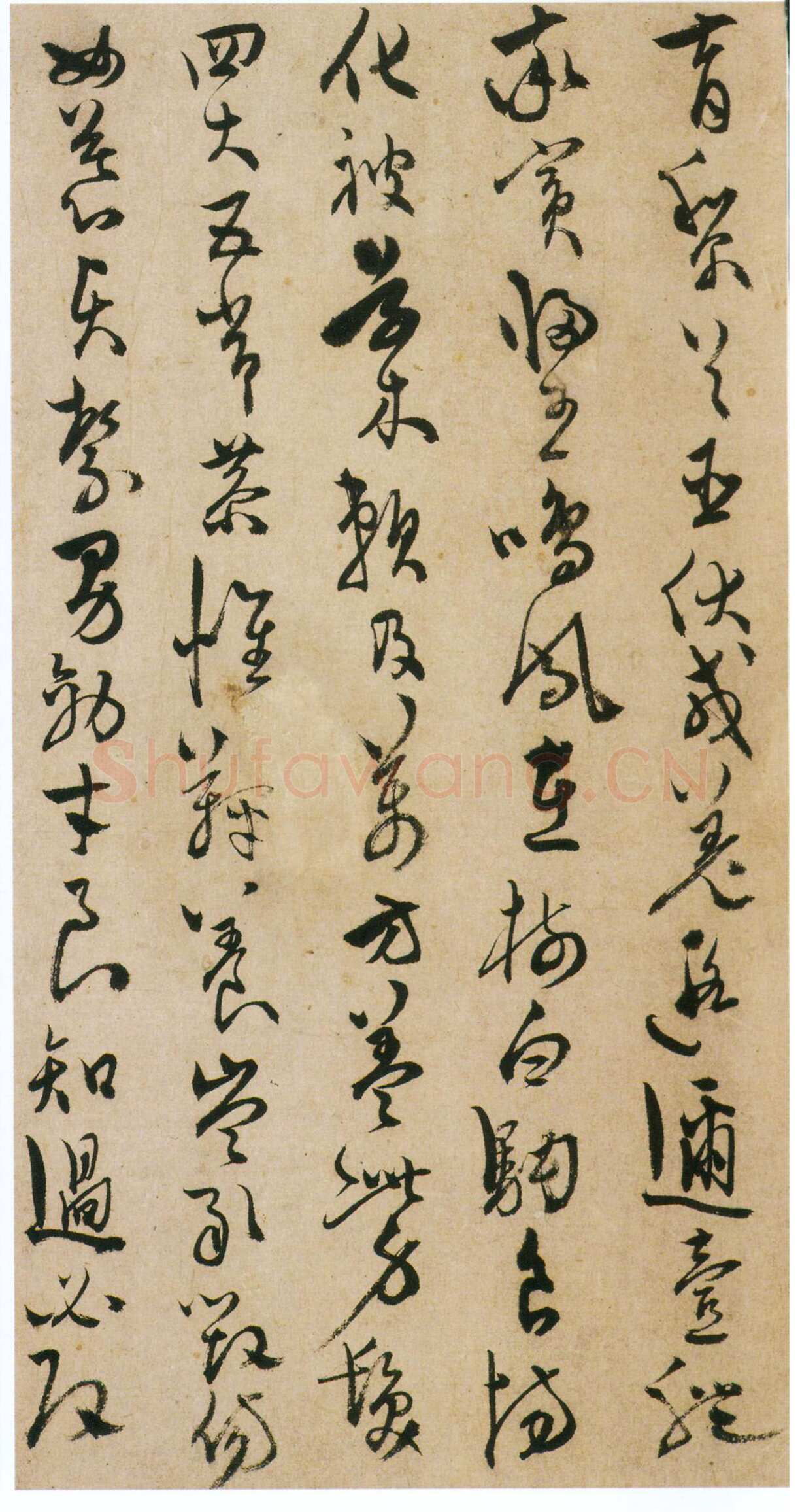 陈淳《草书千字文册》纸本 草书 32×16.5cm×17页 嘉靖十七年(1538)香港中文大学文物馆藏(北山堂捐赠)