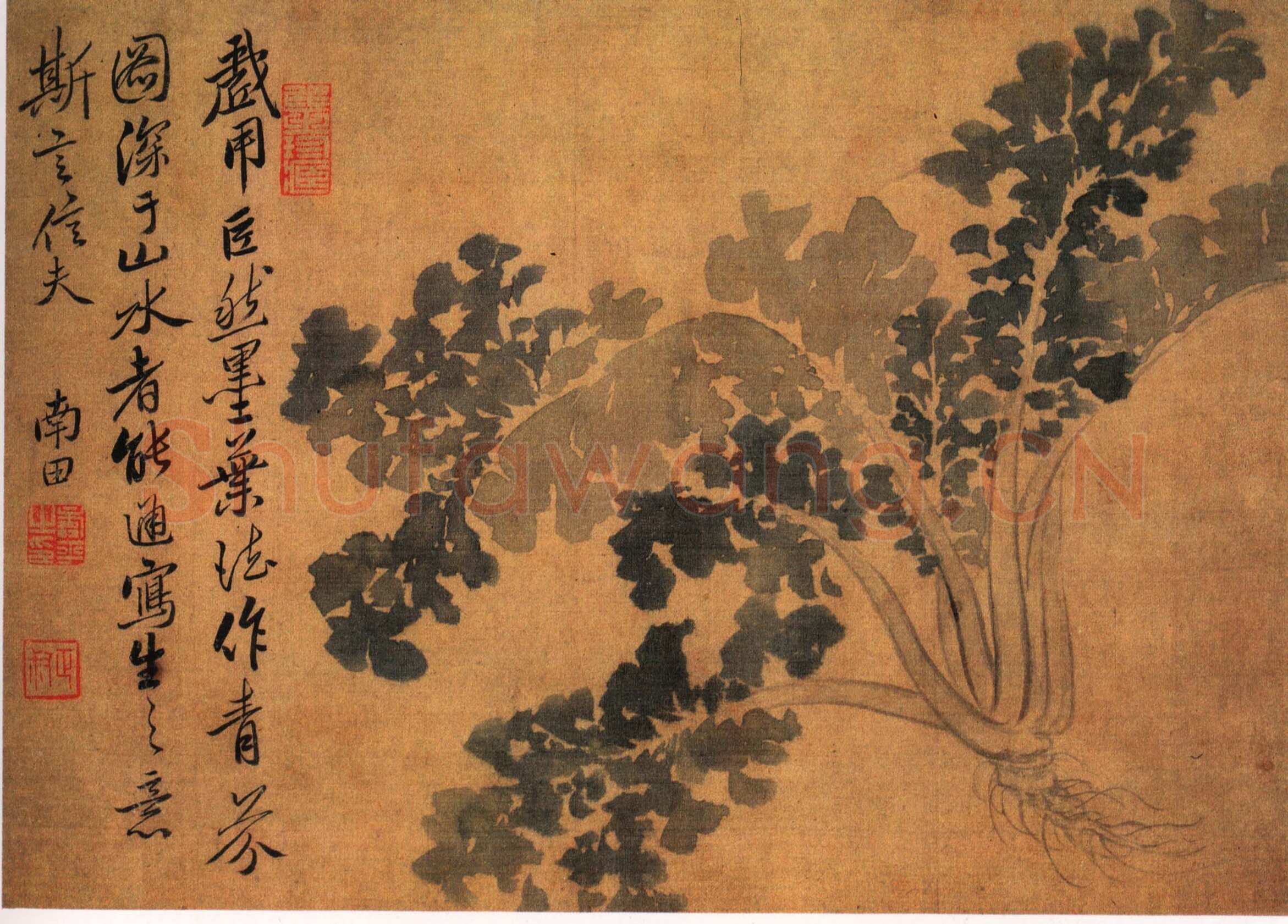 《蔬果册》